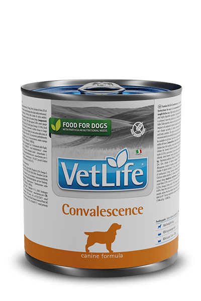 Farmina Vet Life Convalescence Wet Húmido Canine