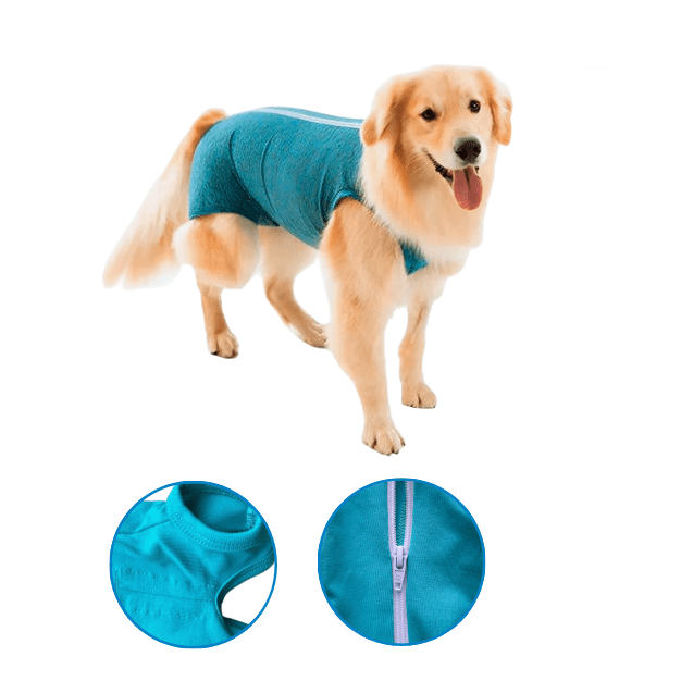 Fato pós-cirúrgico