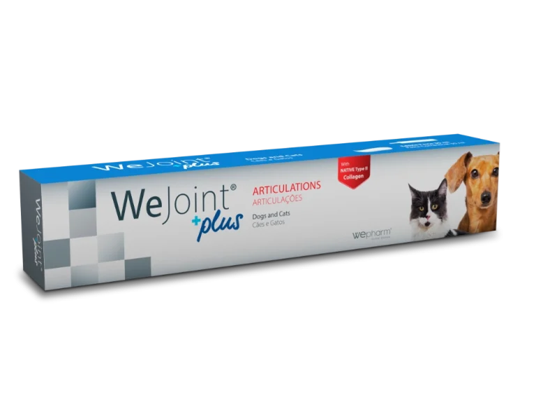 WeJoint Plus Pasta para cães e gatos