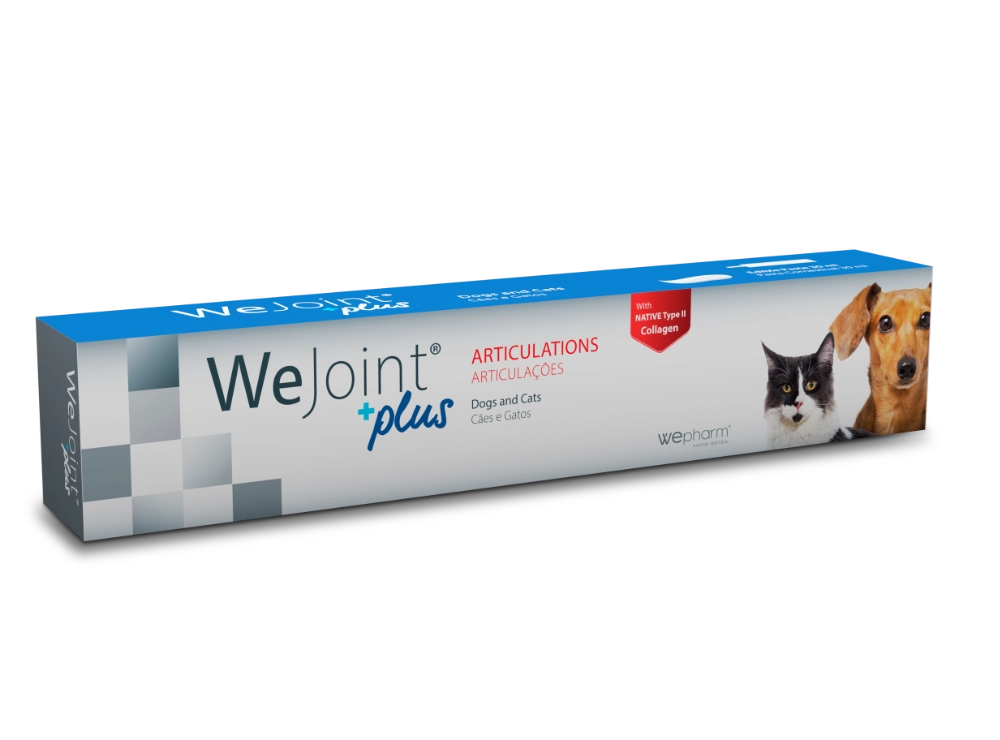 WeJoint Plus Pasta para cães e gatos