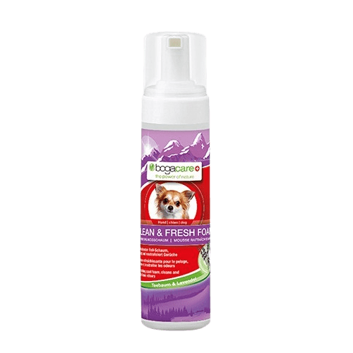 BOGAR® BOGACARE SHAMPOO SECO CÃO