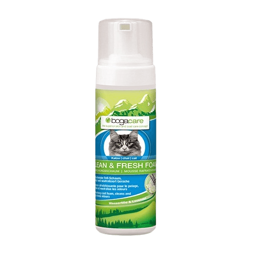 BOGAR® BOGACARE SHAMPOO SECO GATO
