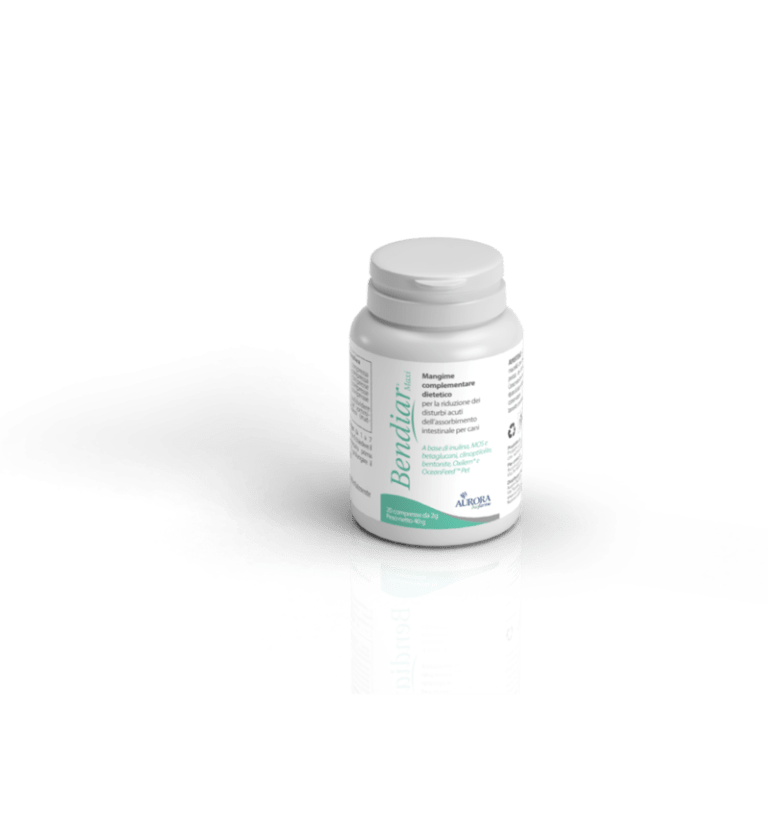 BENDIAR - CÃO E GATO