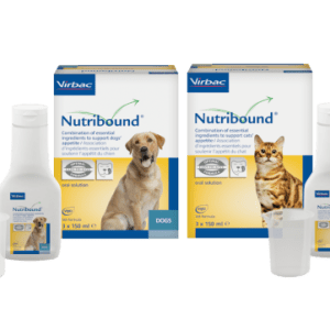 NUTRIBOUND - Suplemento nutricional para estados de recuperação e convalescença