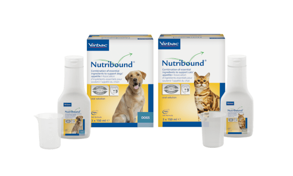 NUTRIBOUND - Suplemento nutricional para estados de recuperação e convalescença